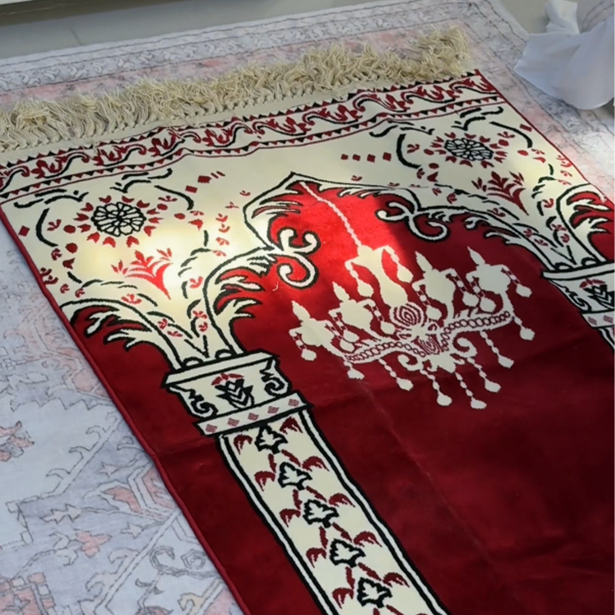 تحميل الفيديو: 