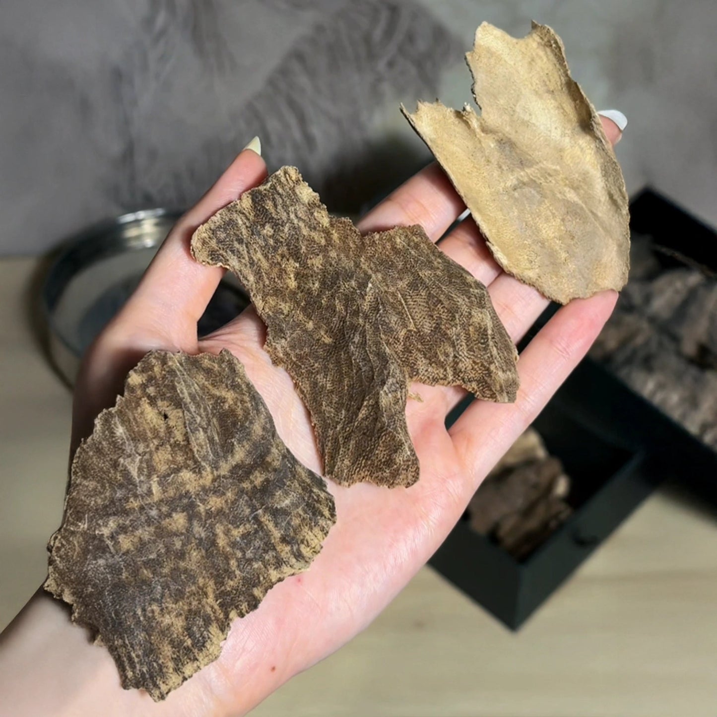 Haga Oud Char - 30g - Nusuki SA